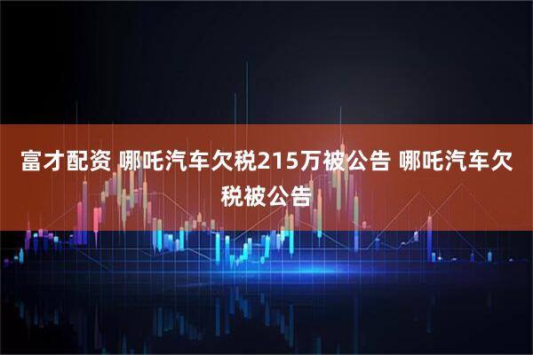 富才配资 哪吒汽车欠税215万被公告 哪吒汽车欠税被公告