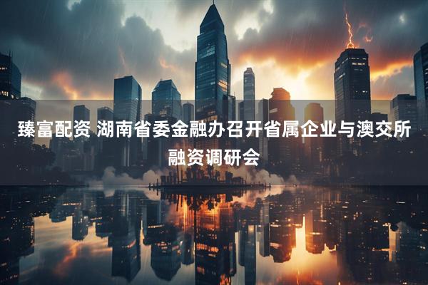 臻富配资 湖南省委金融办召开省属企业与澳交所融资调研会
