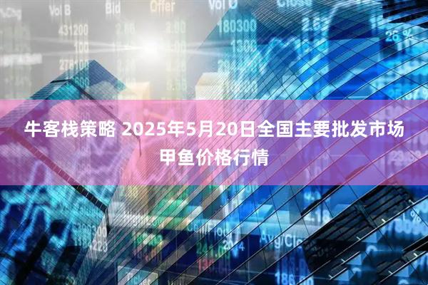 牛客栈策略 2025年5月20日全国主要批发市场甲鱼价格行情