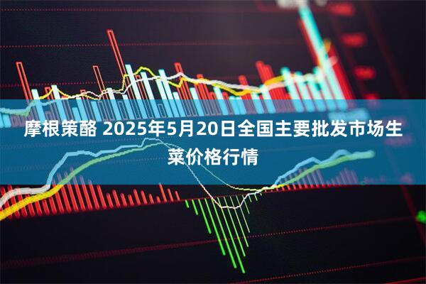 摩根策酪 2025年5月20日全国主要批发市场生菜价格行情