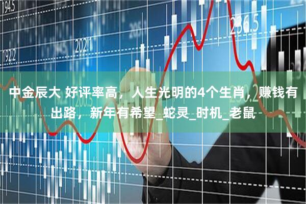 中金辰大 好评率高，人生光明的4个生肖，赚钱有出路，新年有希望_蛇灵_时机_老鼠