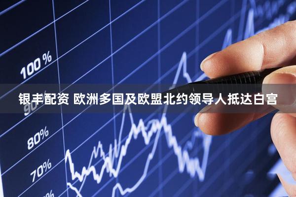 银丰配资 欧洲多国及欧盟北约领导人抵达白宫
