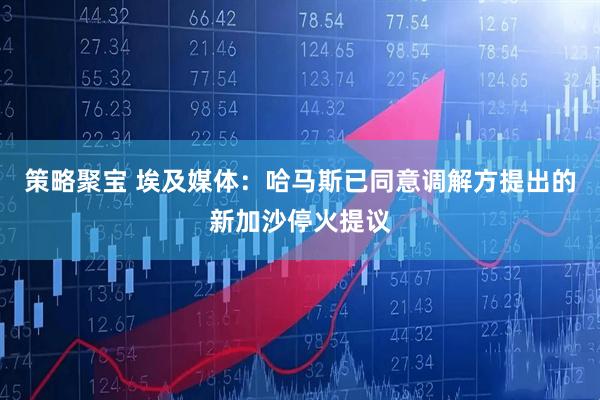 策略聚宝 埃及媒体：哈马斯已同意调解方提出的新加沙停火提议