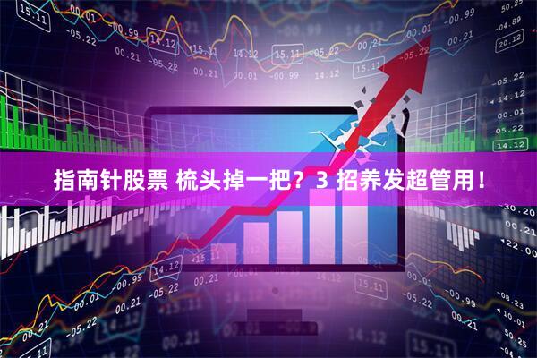指南针股票 梳头掉一把？3 招养发超管用！
