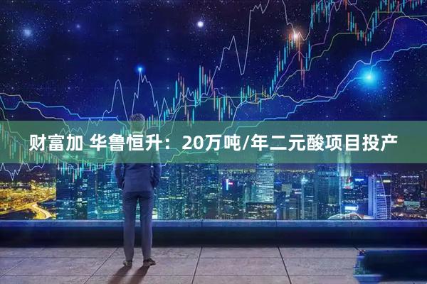 财富加 华鲁恒升：20万吨/年二元酸项目投产